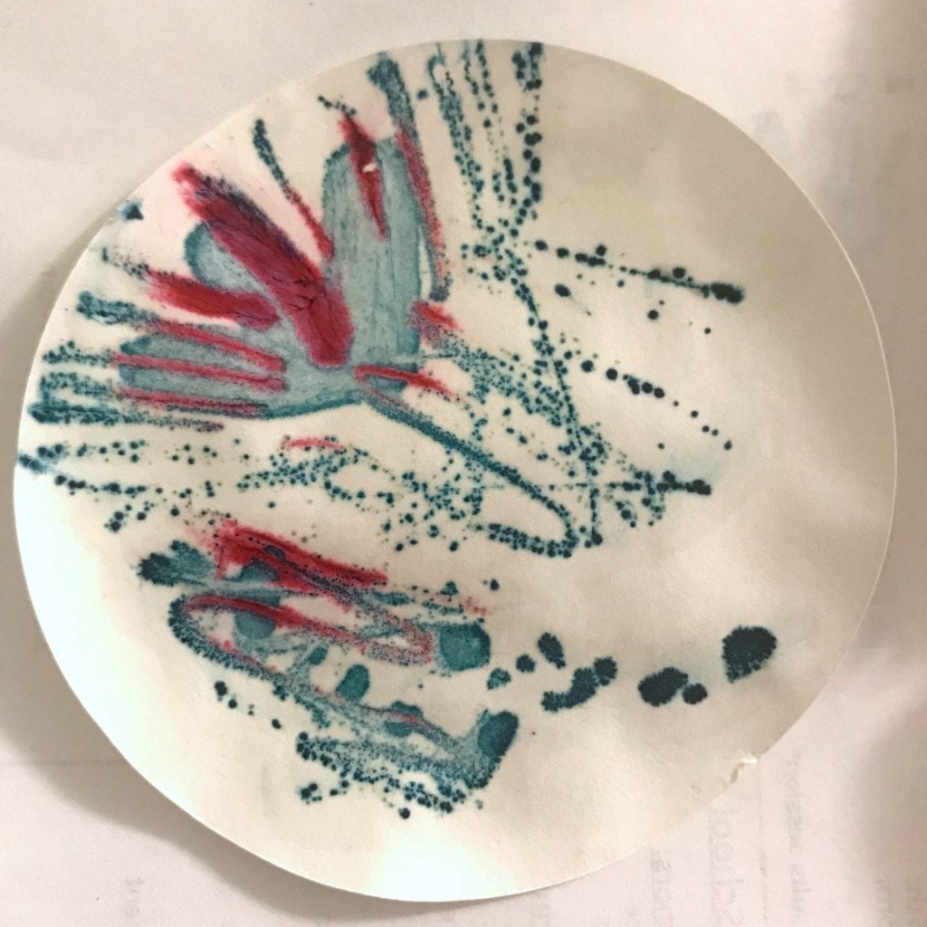 Microbial Pigments: Post-Lab Reflection