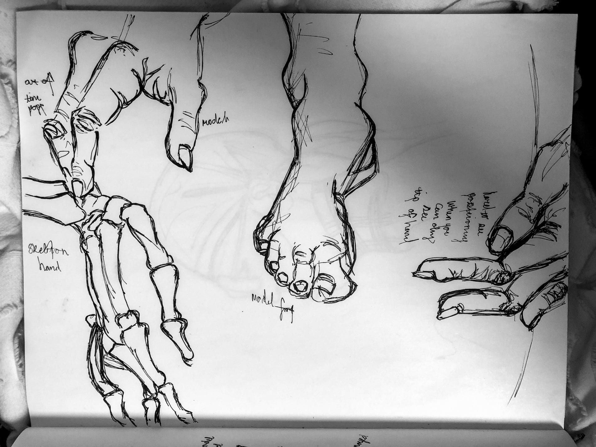 Sketching Hands and Feet