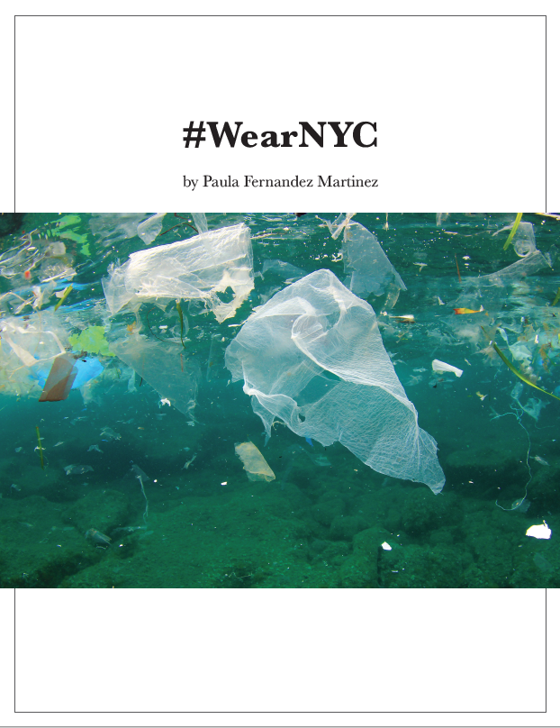 Sust. Systems: #WearNYC – Business Proposal