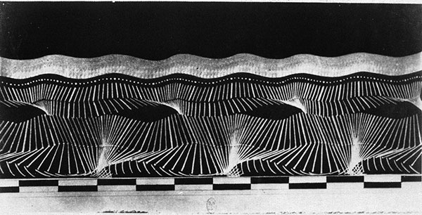 Étienne-Jules Marey – Photography, Motion and Time