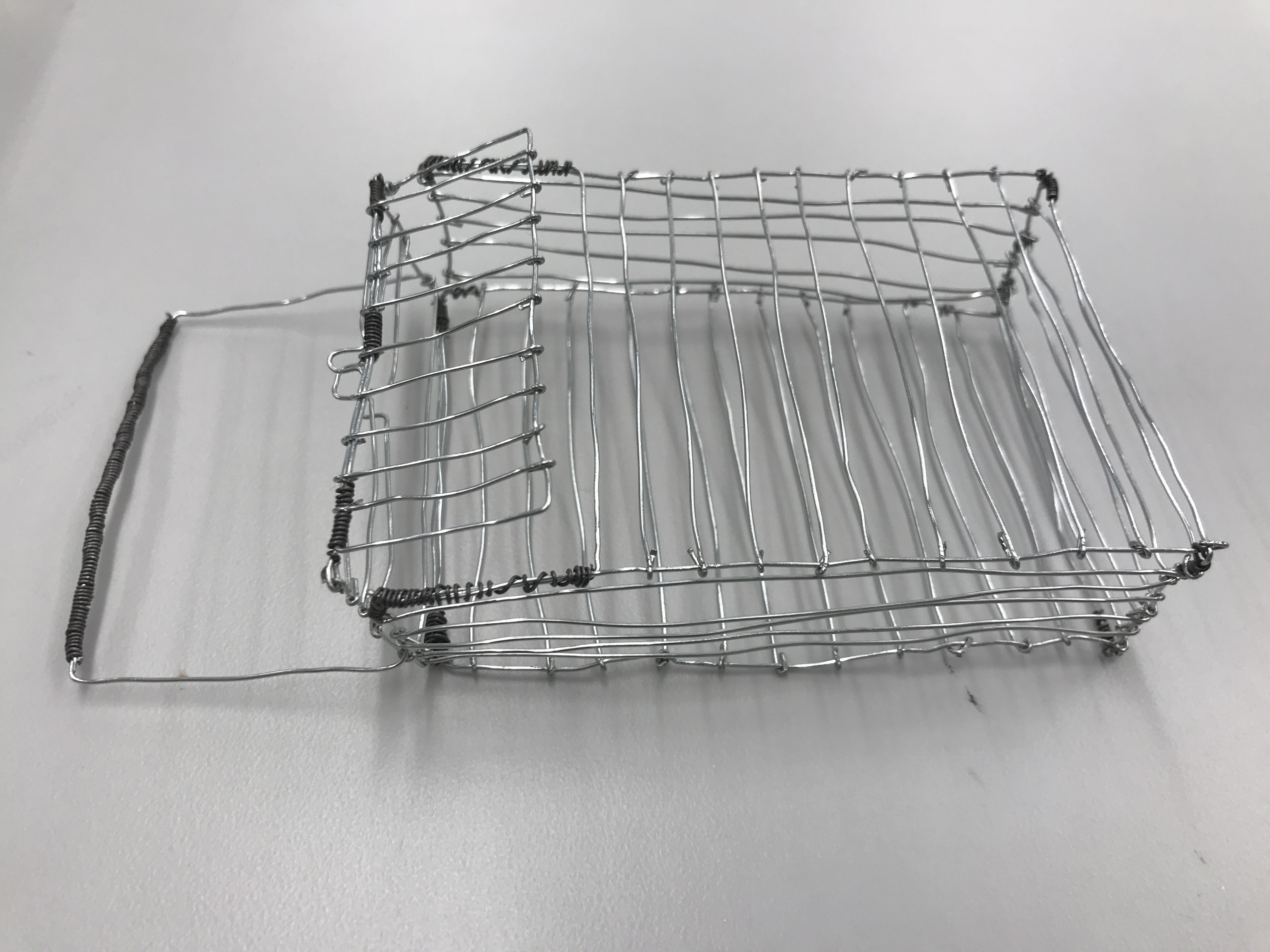 Mini Project A (Wire Basket) – Hilda Shen