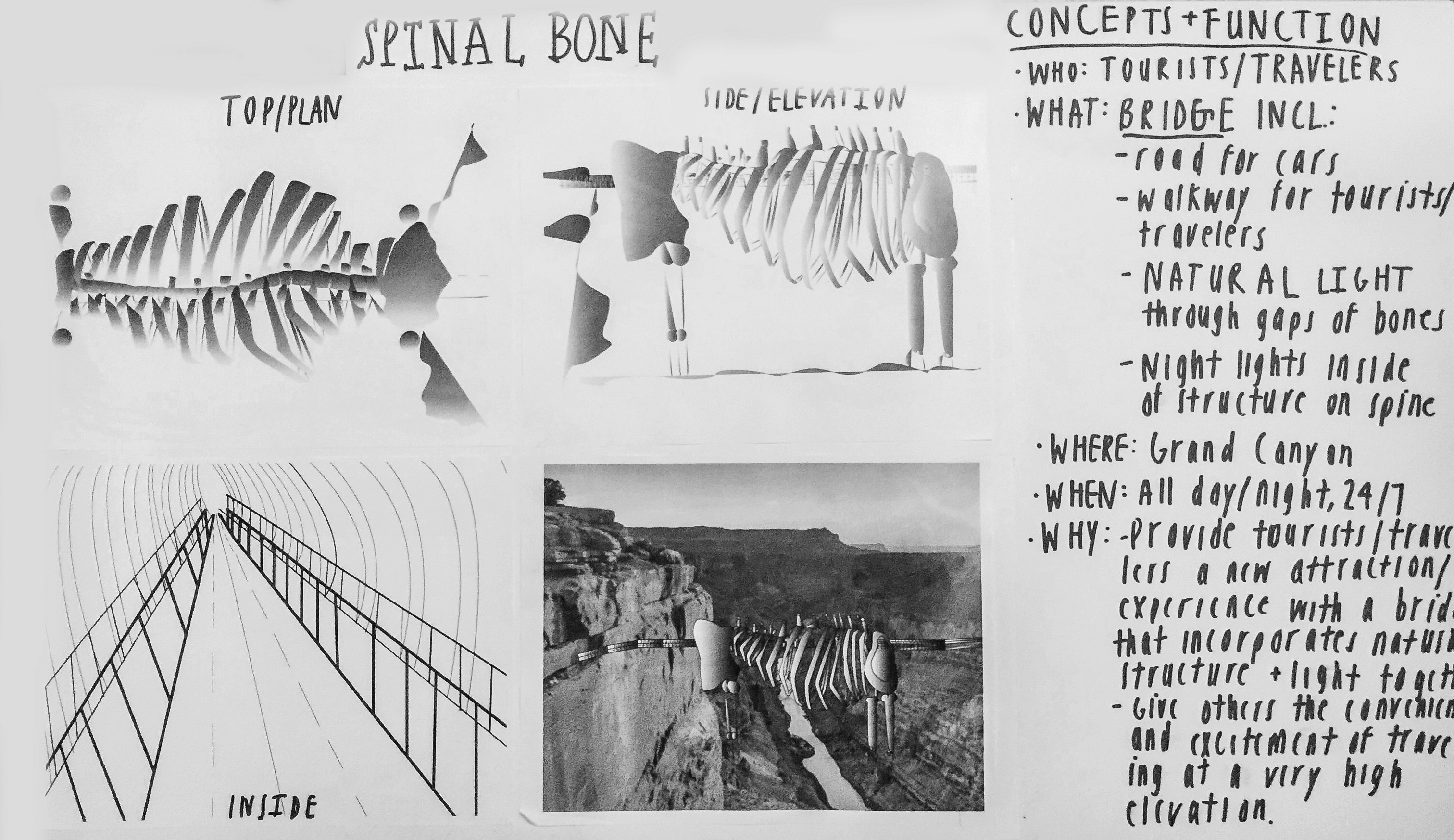 Drawing/Imaging: Places – LP Post/ Anatomy + Architecture Research