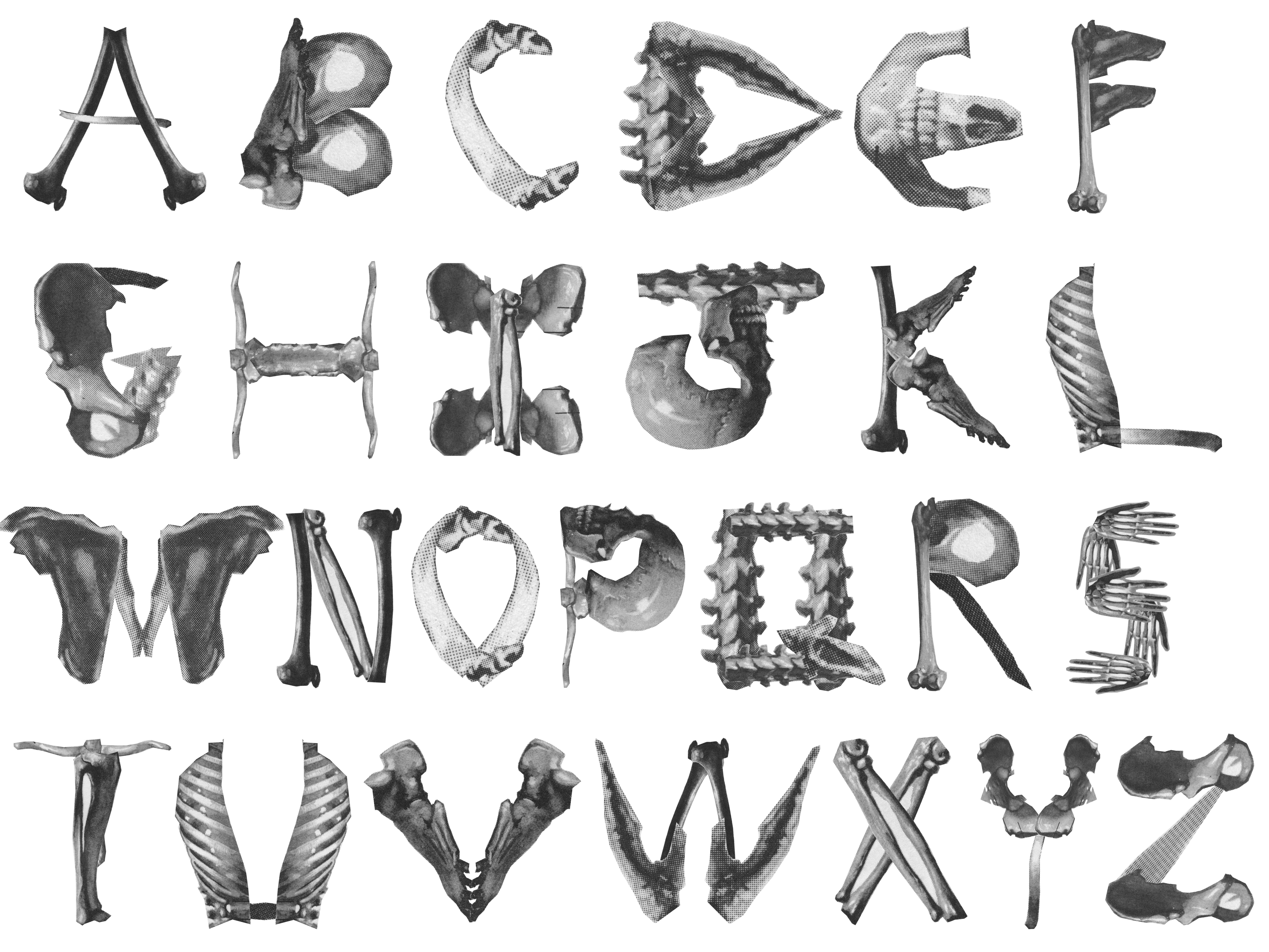 Skeleton Alphabet