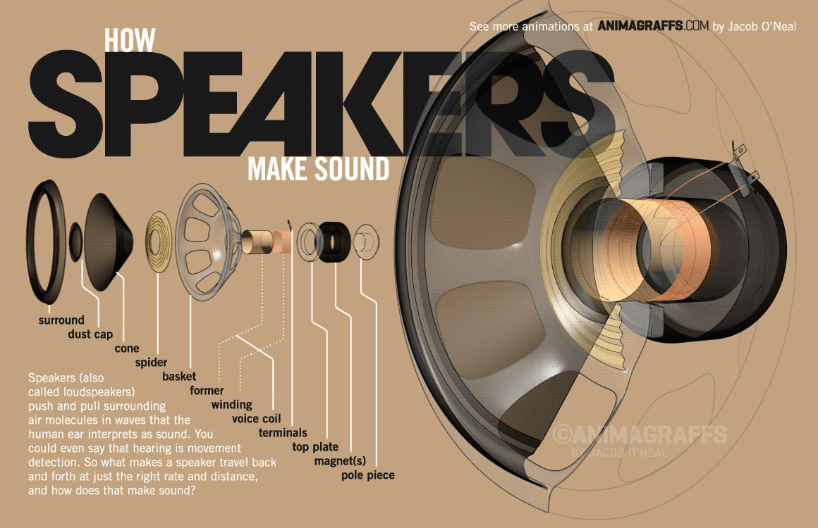 How Speakers work – Animagraffs