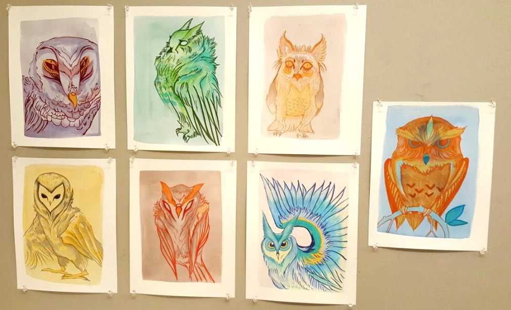 Rule Drawings: Owl