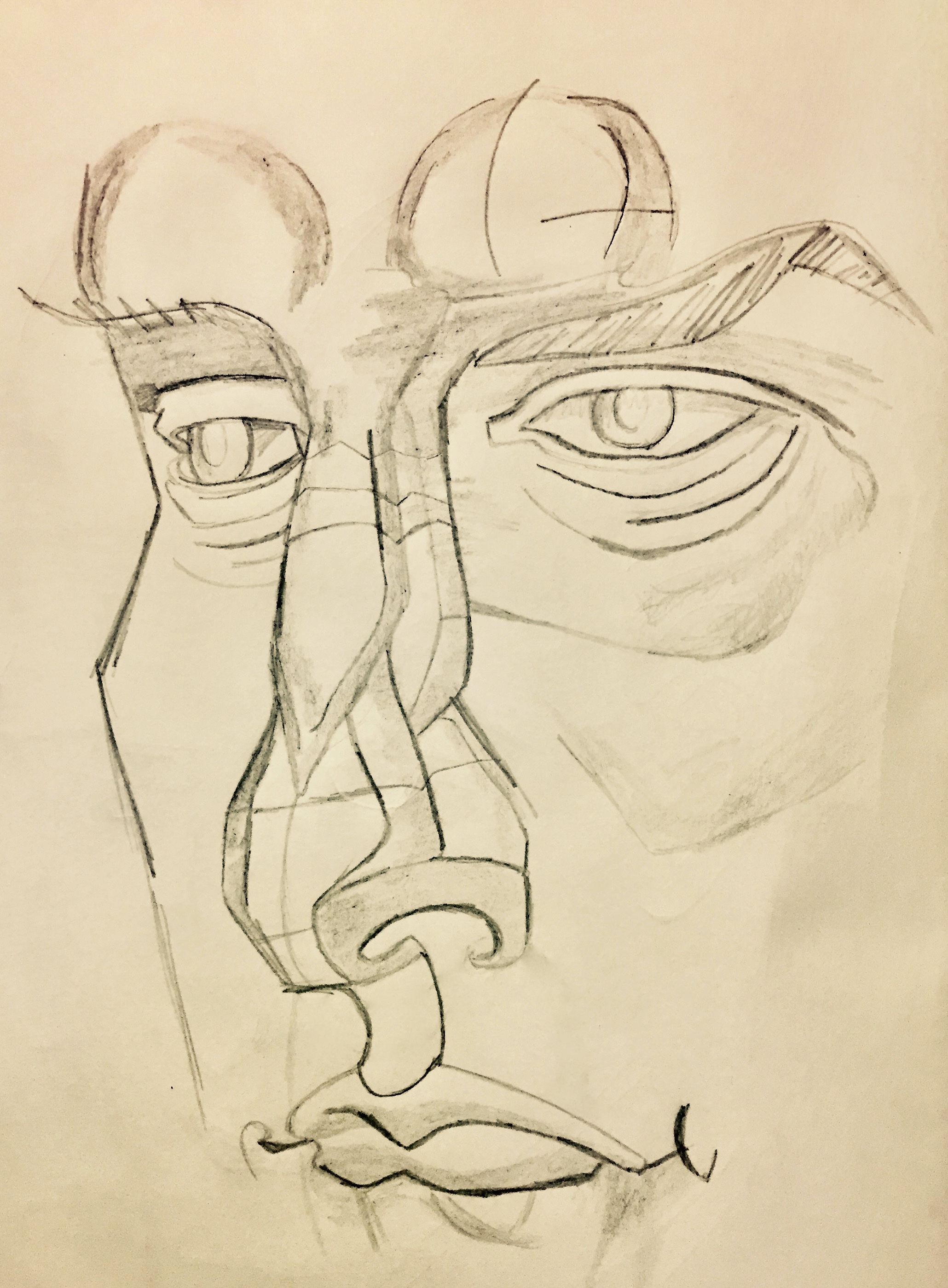 Drawing and Imaging: Sketchbook Anatomy Studies/Heads