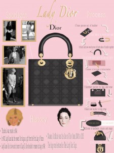 Lady Dior Infographic