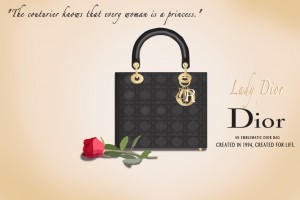 dior infographic