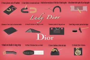dior infographic d