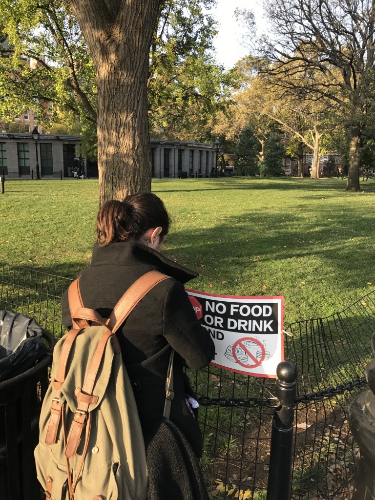 No Food or Drink Sign being placed