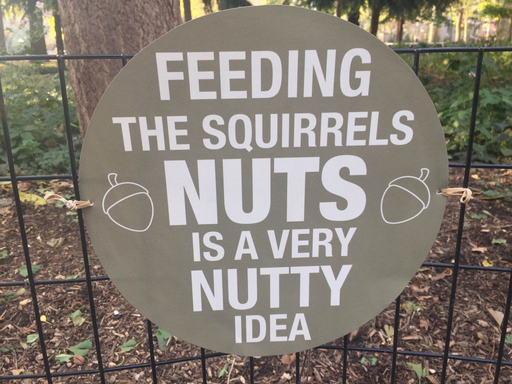 Nutty Sign on Park Fence