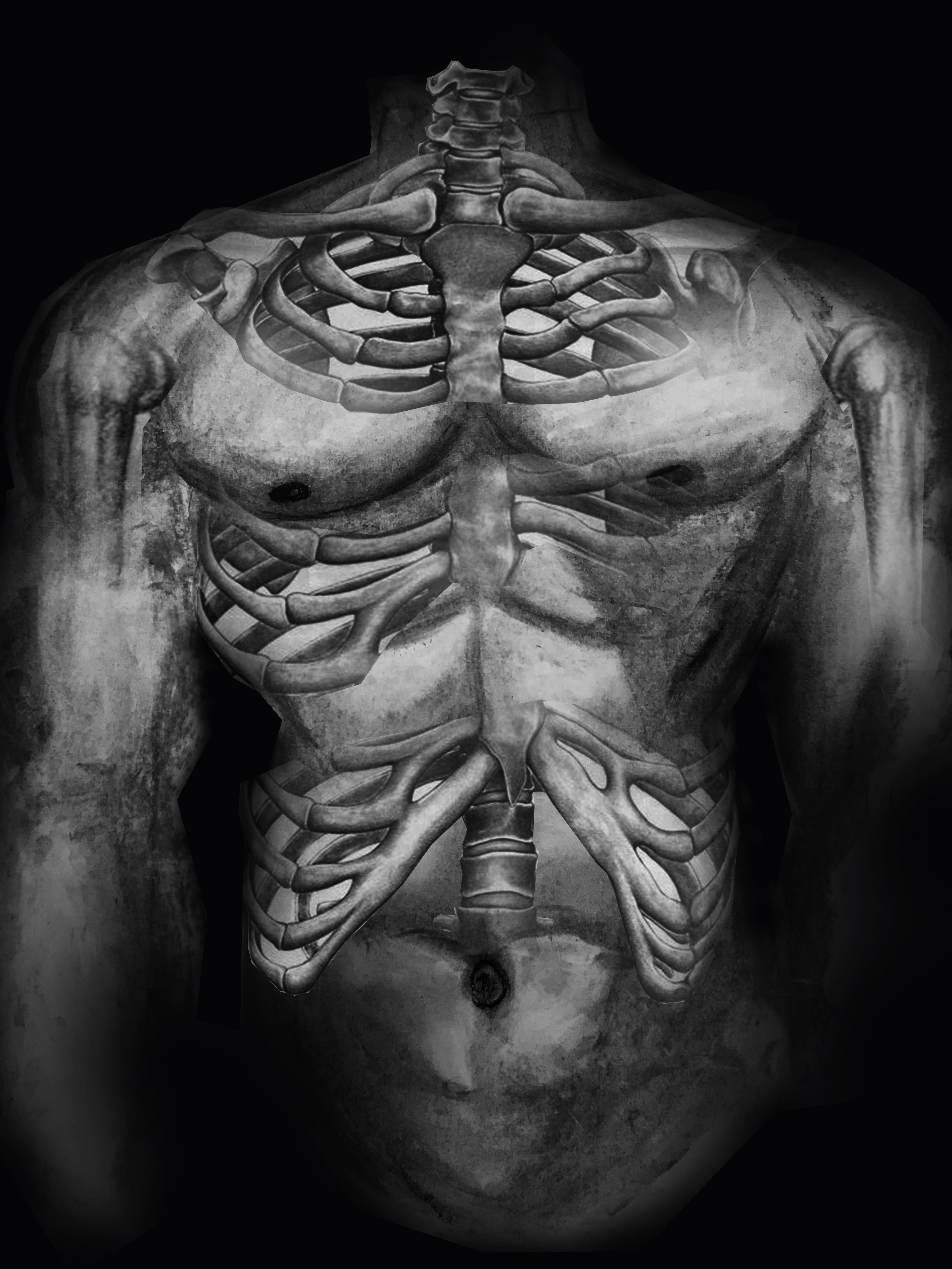 X-Ray- Combined drawing of Torso and Skeleton printed