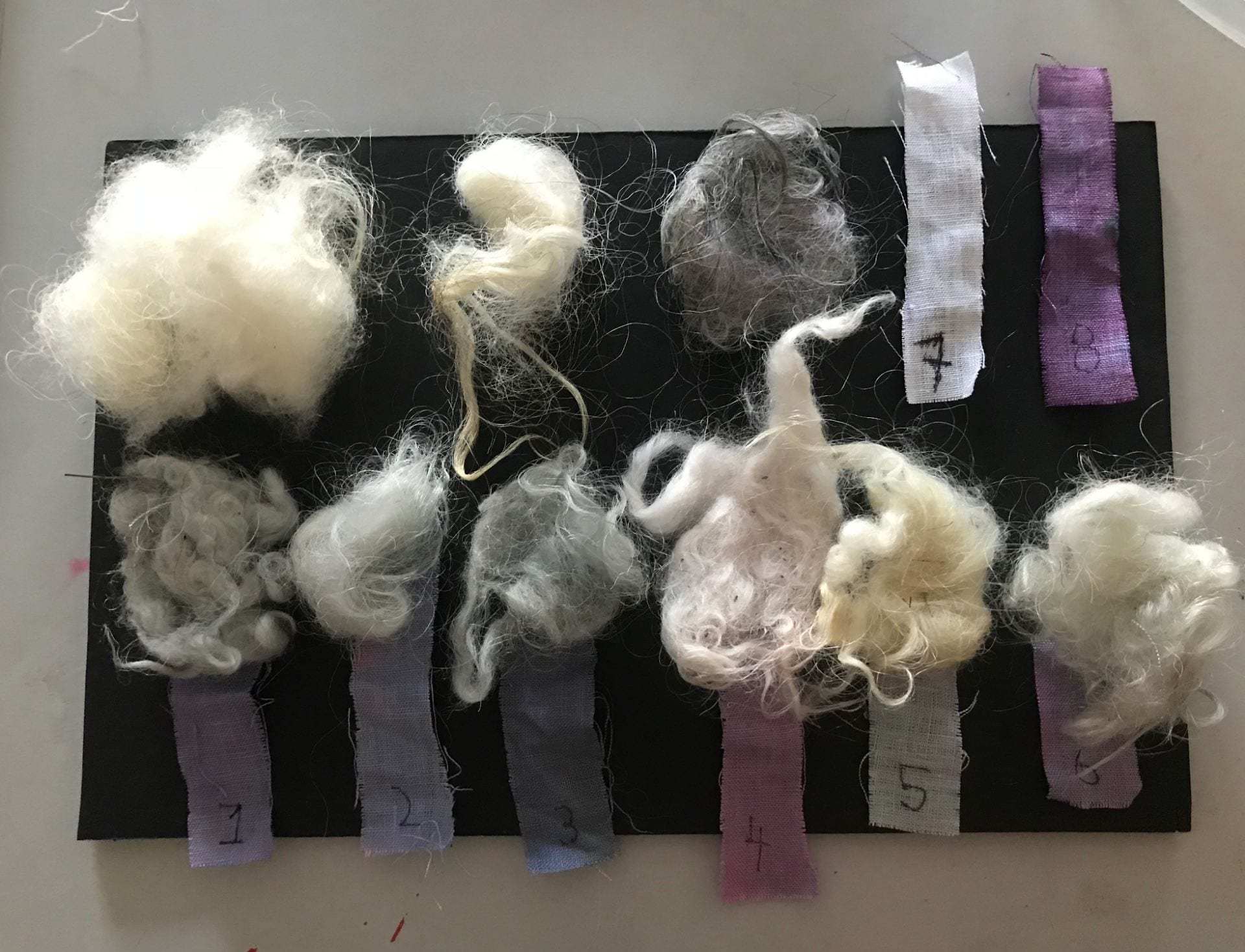 Sustainable Systems: Natural Dyeing
