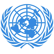 Sustainable Systems: UN Reflection